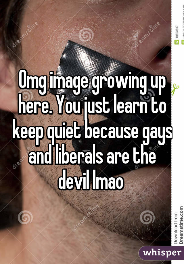 Omg image growing up here. You just learn to keep quiet because gays and liberals are the devil lmao 