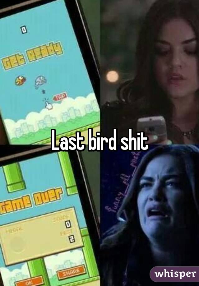Last bird shit