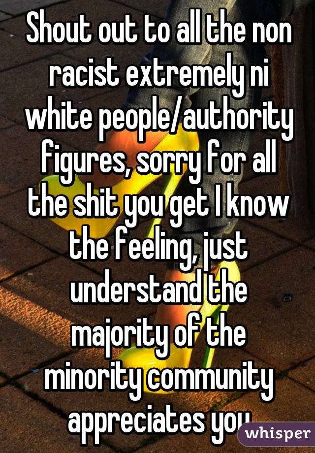Shout out to all the non racist extremely ni white people/authority figures, sorry for all the shit you get I know the feeling, just understand the majority of the minority community appreciates you
