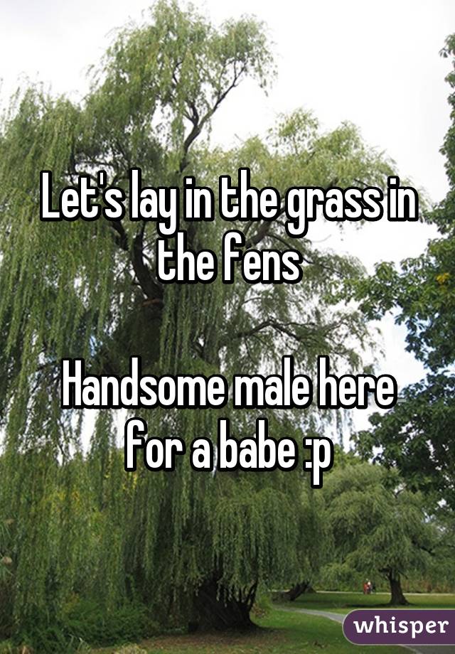 Let's lay in the grass in the fens

Handsome male here for a babe :p