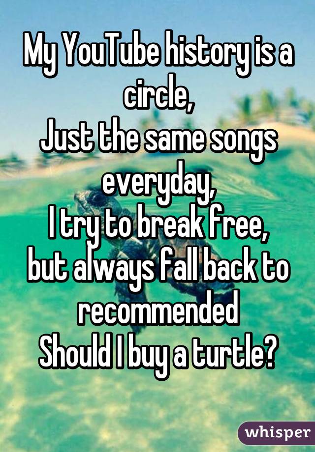 My YouTube history is a circle,
Just the same songs everyday,
I try to break free, but always fall back to recommended
Should I buy a turtle?
