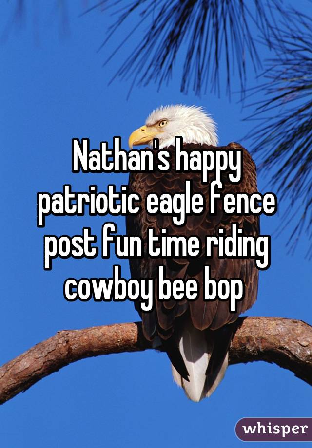 Nathan's happy patriotic eagle fence post fun time riding cowboy bee bop 