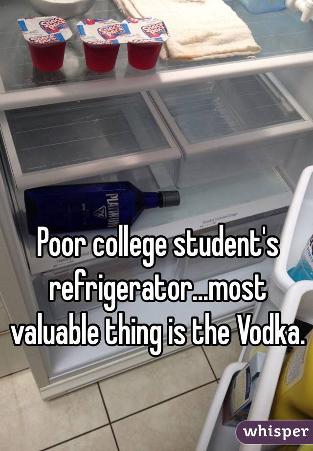 Poor college student's refrigerator...most valuable thing is the Vodka. 