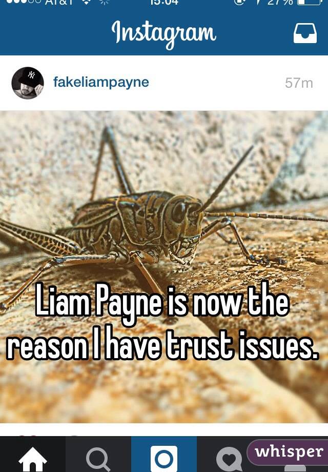 Liam Payne is now the reason I have trust issues.