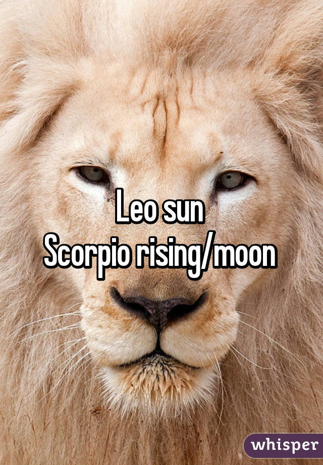 Leo sun 
Scorpio rising/moon 