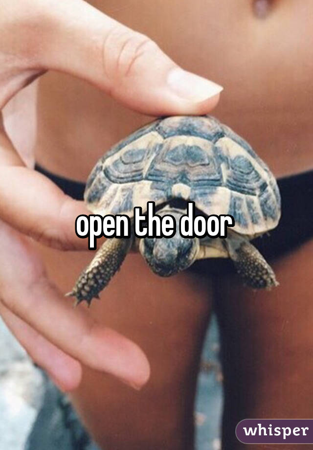 open the door 