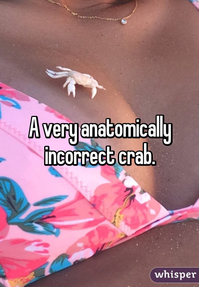 A very anatomically incorrect crab.