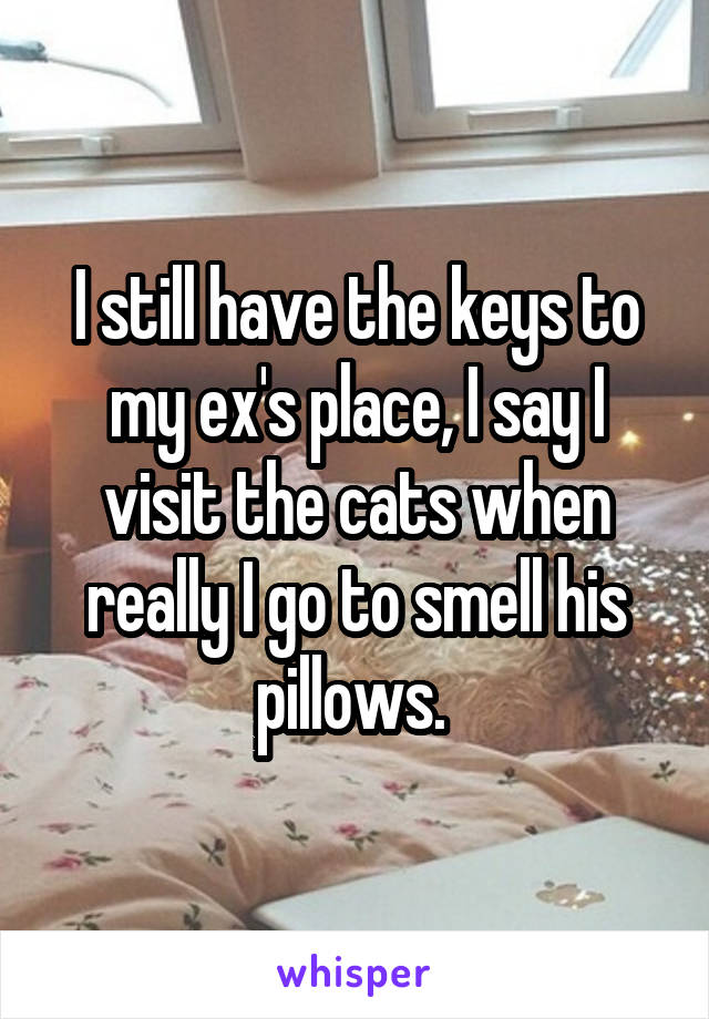 I still have the keys to my ex's place, I say I visit the cats when really I go to smell his pillows. 