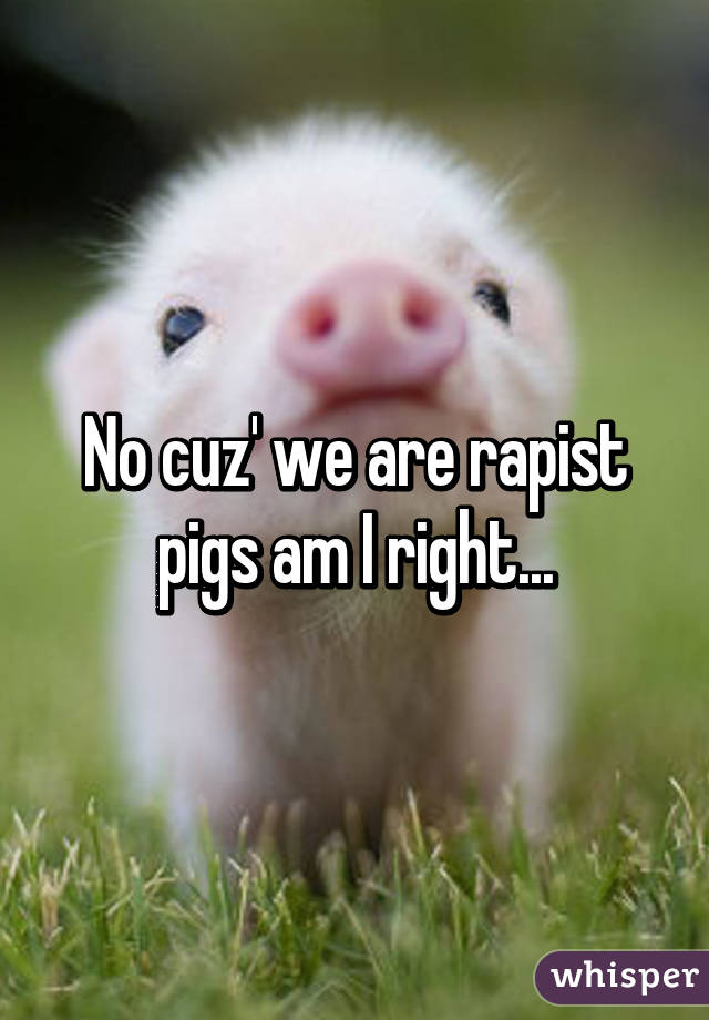 No cuz' we are rapist pigs am I right...