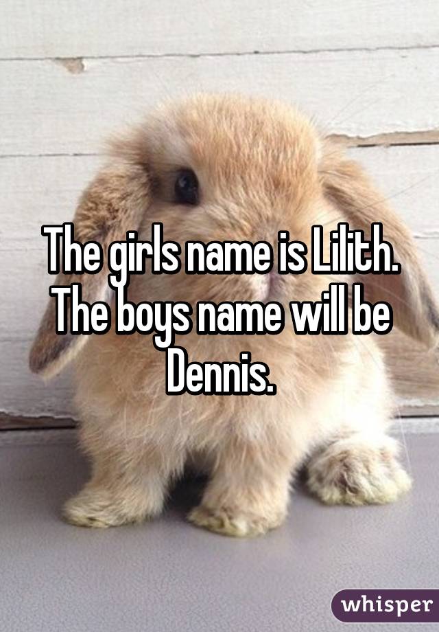 The girls name is Lilith. The boys name will be Dennis.