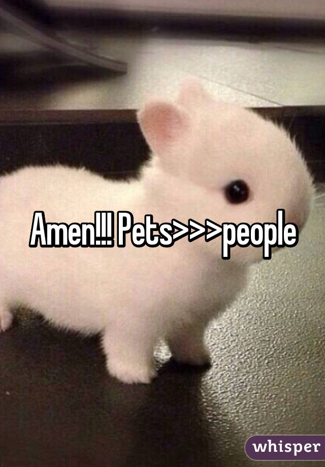 Amen!!! Pets>>>people