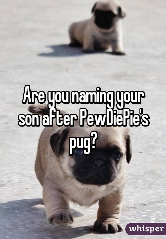 Are you naming your son after PewDiePie's pug?