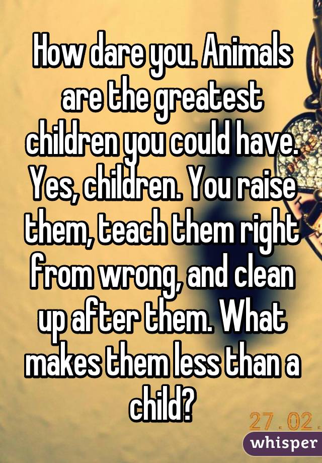 How dare you. Animals are the greatest children you could have. Yes, children. You raise them, teach them right from wrong, and clean up after them. What makes them less than a child?