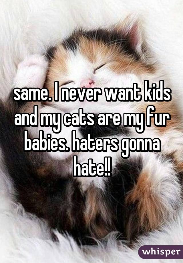 same. I never want kids and my cats are my fur babies. haters gonna hate!!