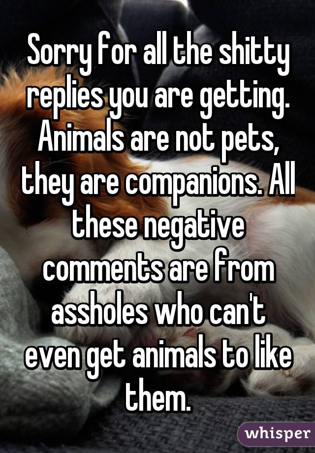 Sorry for all the shitty replies you are getting.
Animals are not pets, they are companions. All these negative comments are from assholes who can't even get animals to like them.