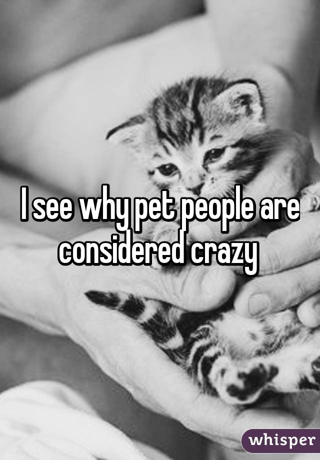 I see why pet people are considered crazy 