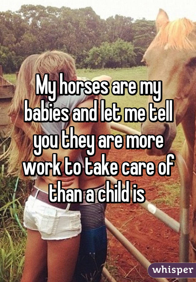 My horses are my babies and let me tell you they are more work to take care of than a child is 