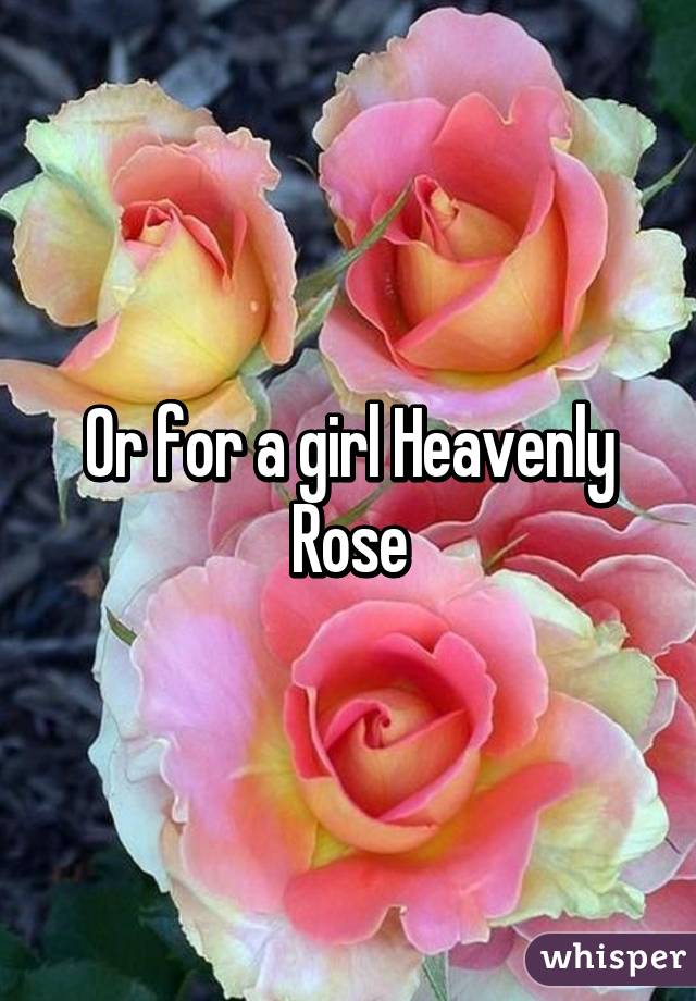 Or for a girl Heavenly Rose