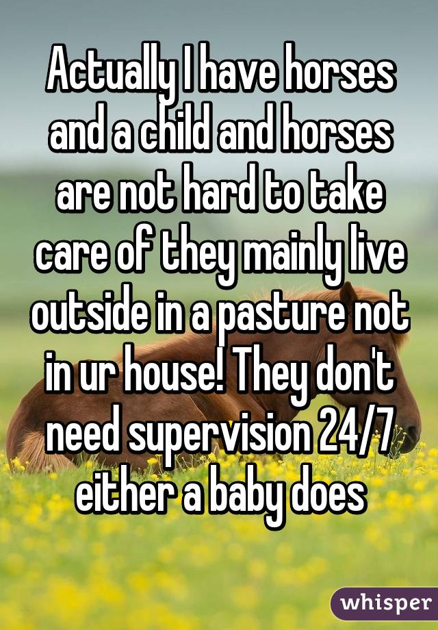 Actually I have horses and a child and horses are not hard to take care of they mainly live outside in a pasture not in ur house! They don't need supervision 24/7 either a baby does
