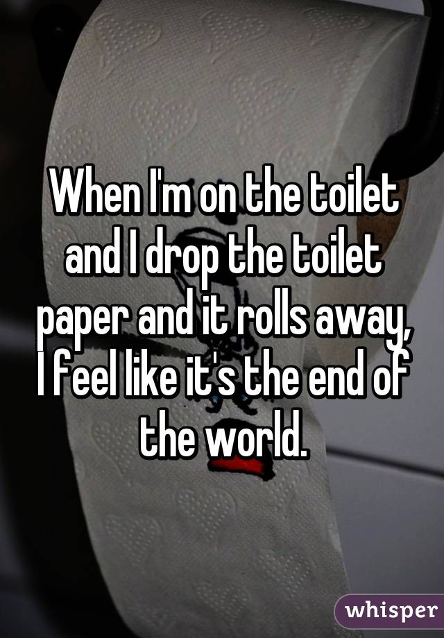 When I'm on the toilet and I drop the toilet paper and it rolls away, I feel like it's the end of the world.
