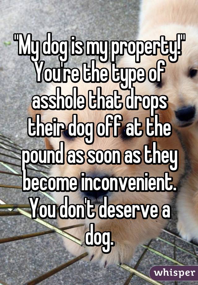 "My dog is my property!" You're the type of asshole that drops their dog off at the pound as soon as they become inconvenient. You don't deserve a dog.