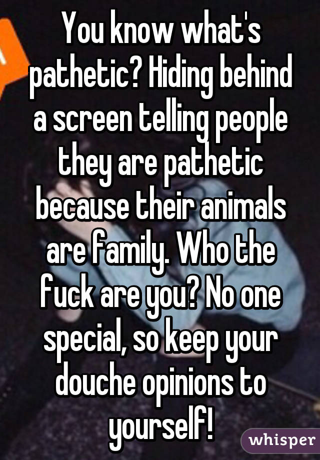 You know what's pathetic? Hiding behind a screen telling people they are pathetic because their animals are family. Who the fuck are you? No one special, so keep your douche opinions to yourself!