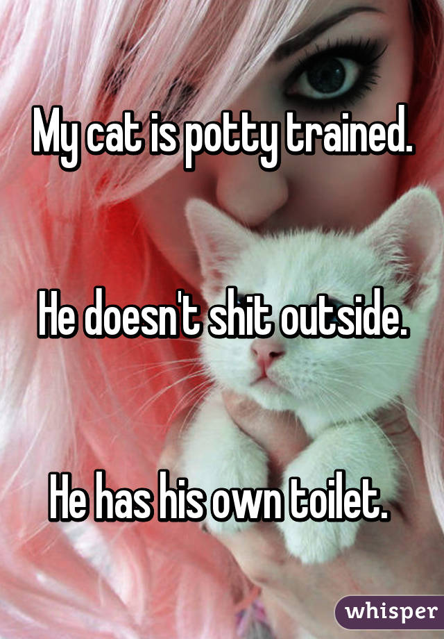 My cat is potty trained. 

He doesn't shit outside. 

He has his own toilet. 