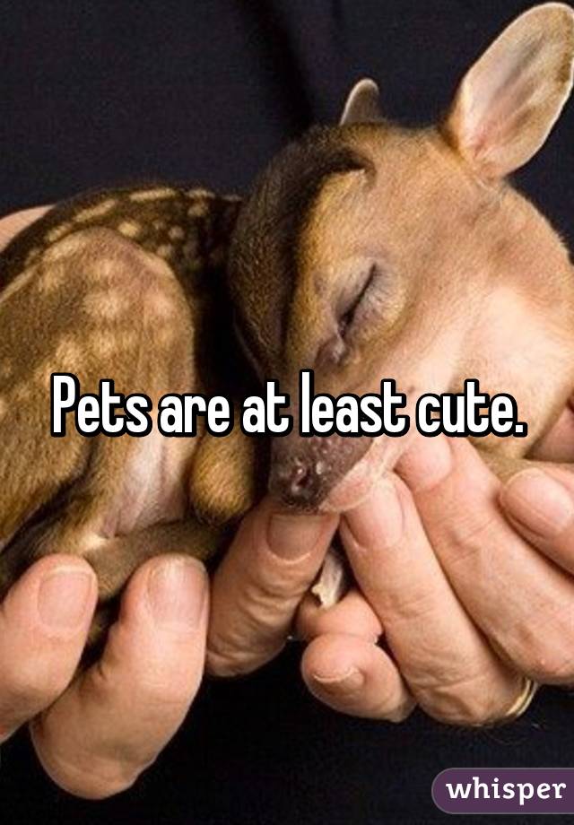 Pets are at least cute.