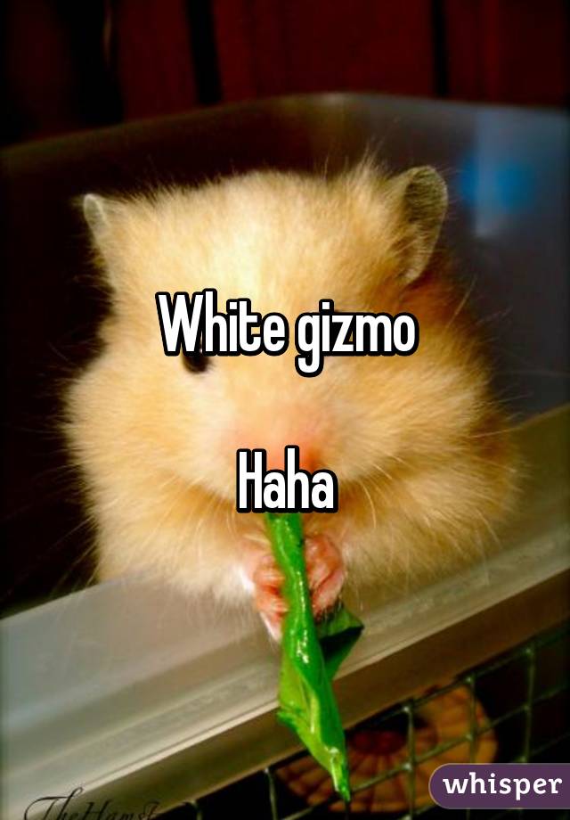 White gizmo

Haha