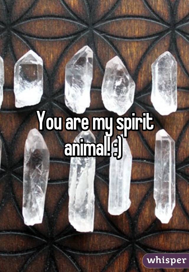 You are my spirit animal! :) 