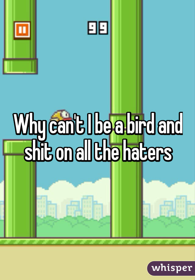Why can't I be a bird and shit on all the haters