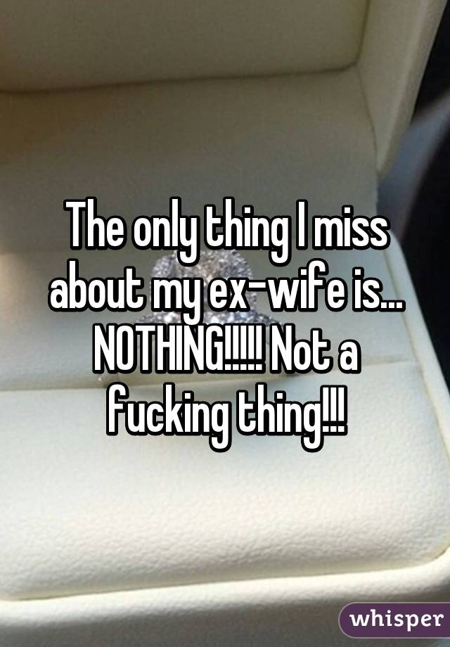 The only thing I miss about my ex-wife is...
NOTHING!!!!! Not a fucking thing!!!
