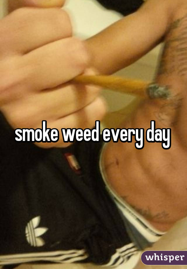 smoke weed every day 