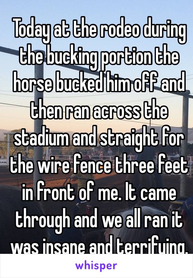Today at the rodeo during the bucking portion the horse bucked him off and then ran across the stadium and straight for the wire fence three feet in front of me. It came through and we all ran it was insane and terrifying. 