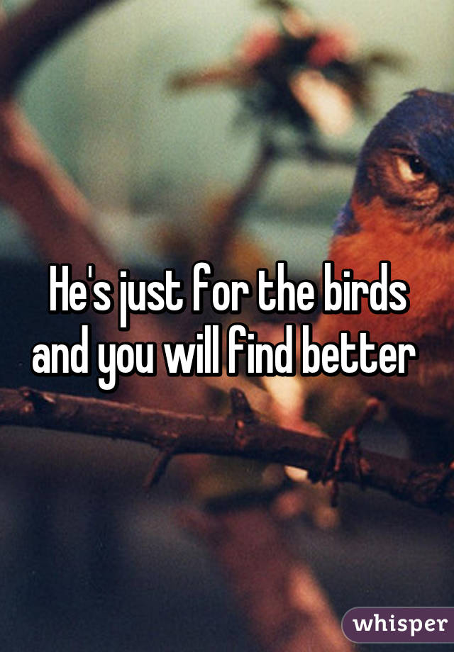 He's just for the birds and you will find better 