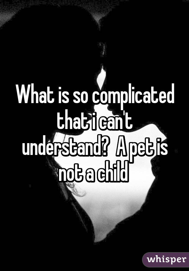 What is so complicated that i can't understand?  A pet is not a child 