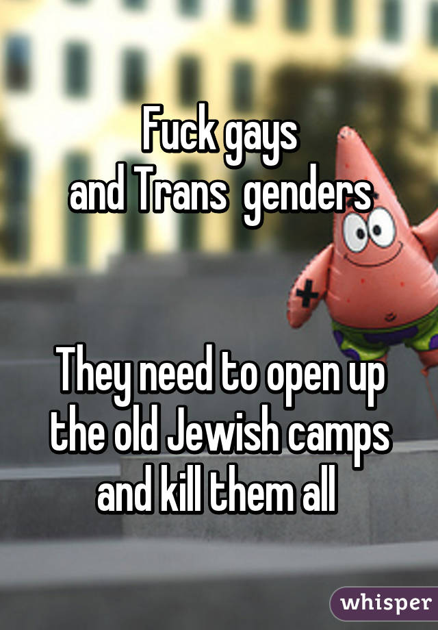 Fuck gays
 and Trans  genders 


They need to open up the old Jewish camps and kill them all 