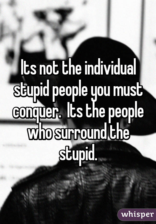 Its not the individual stupid people you must conquer.  Its the people who surround the stupid.