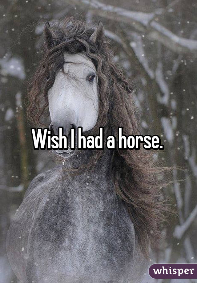 Wish I had a horse. 