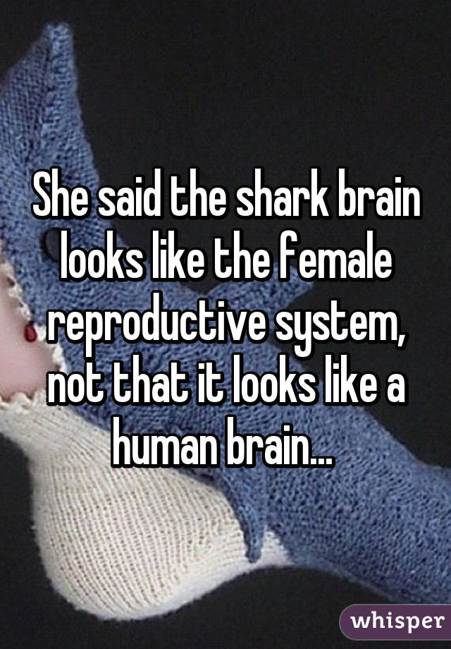 She said the shark brain looks like the female reproductive system, not that it looks like a human brain... 