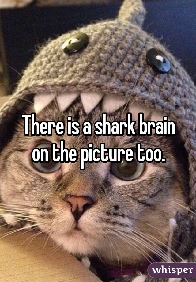 There is a shark brain on the picture too.