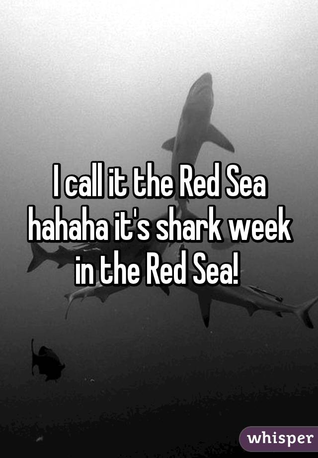 I call it the Red Sea hahaha it's shark week in the Red Sea! 