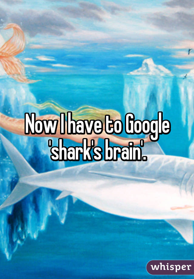 Now I have to Google 'shark's brain'.