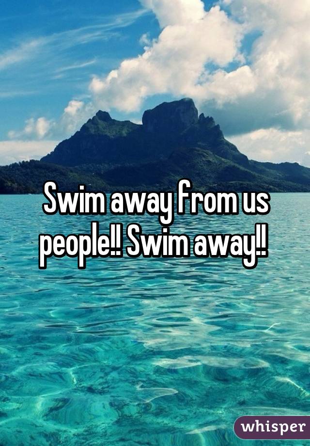 Swim away from us people!! Swim away!! 