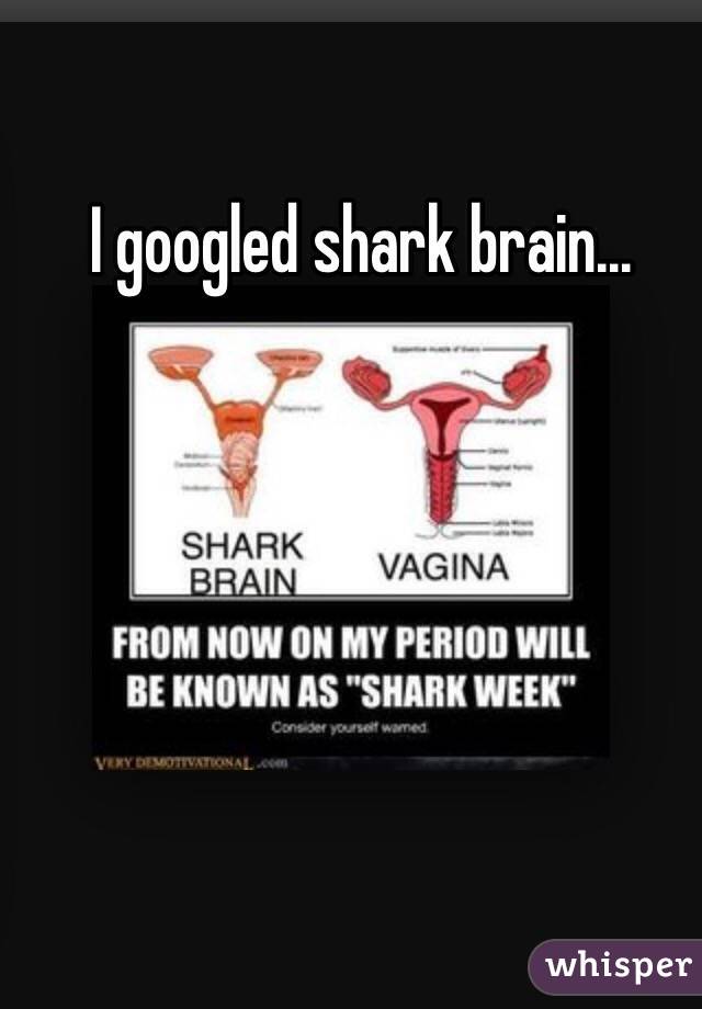 I googled shark brain...