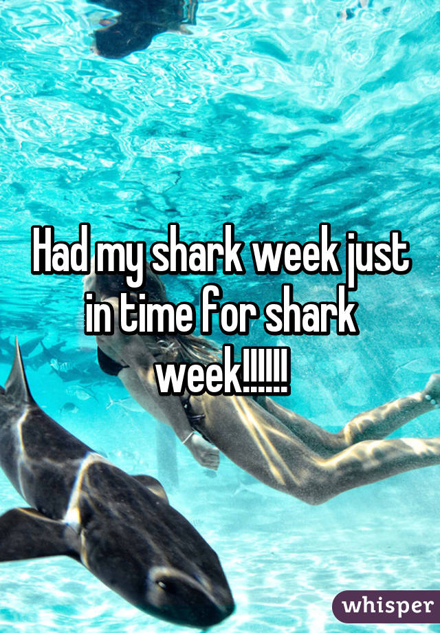 Had my shark week just in time for shark week!!!!!!