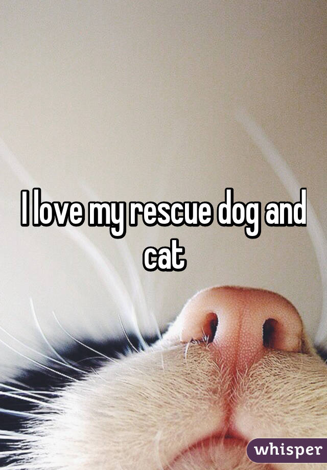 I love my rescue dog and cat