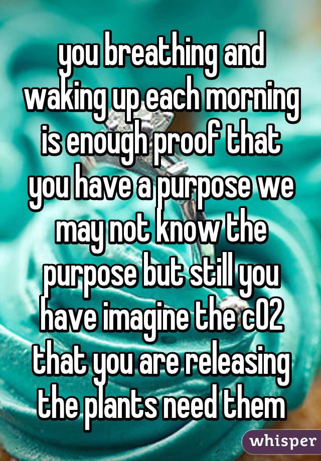 you breathing and waking up each morning is enough proof that you have a purpose we may not know the purpose but still you have imagine the cO2 that you are releasing the plants need them