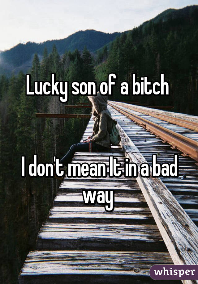 Lucky son of a bitch 


I don't mean It in a bad way 