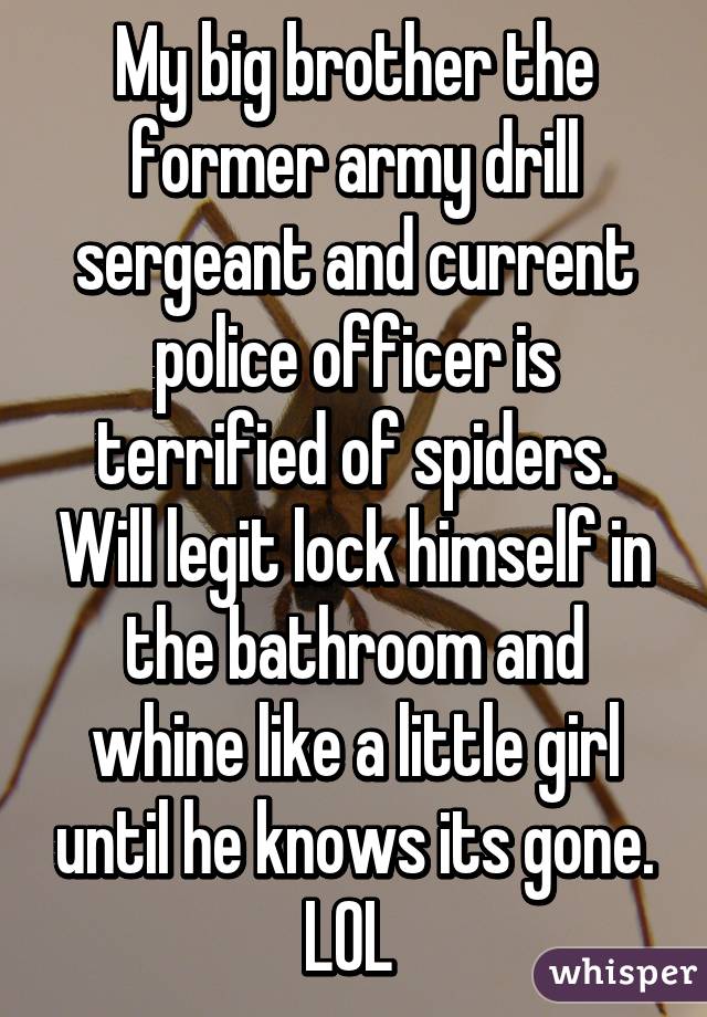My big brother the former army drill sergeant and current police officer is terrified of spiders. Will legit lock himself in the bathroom and whine like a little girl until he knows its gone. LOL 